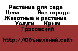 Растения для сада › Цена ­ 200 - Все города Животные и растения » Услуги   . Крым,Грэсовский